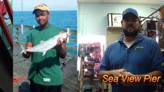 Topsail Fishing Report 7 15 2013
