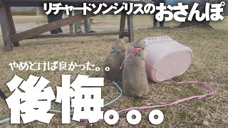 【リチャードソンジリス】飼い主ができる事の限界 #81