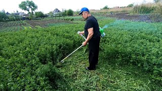 картинка: Триммер бензиновый для травы 🌿 Как косить и делать валок мотокосой