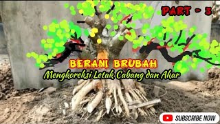 Program Anting Putri Lanjutan PART - 3 (BERANI BERUBAH WAJAH)