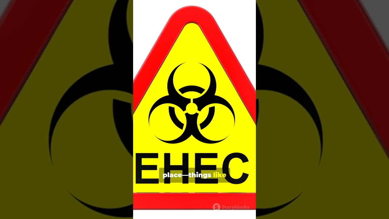 5 Steps of Risk Assessment (NEBOSH Approach)