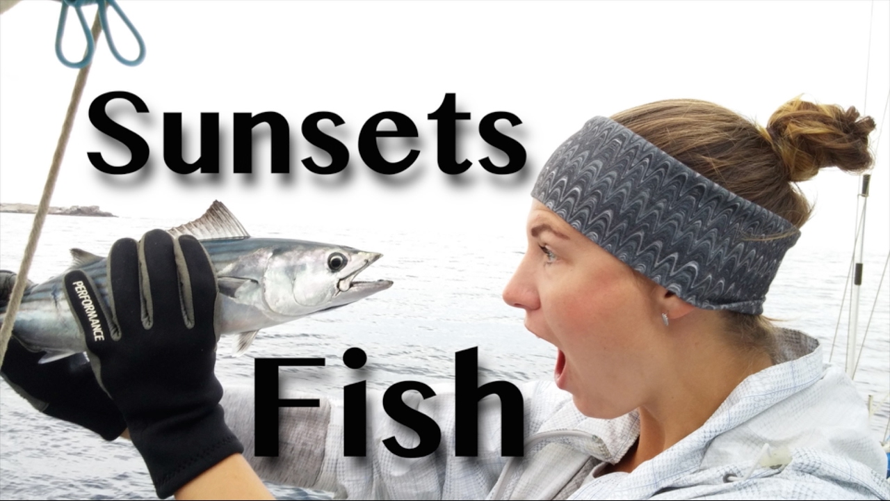 MEXICAN SUNSETS AND FISH [Adventure #42]