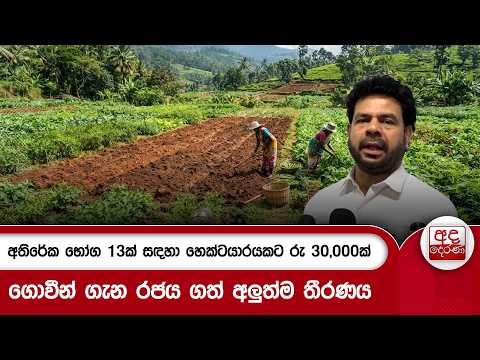 අතිරේක භෝග 13ක් සඳහා හෙක්ටයාරයකට රු 30,000ක් - ගොවීන් ගැන රජය ගත් අලුත්ම තීරණය... | Ada Derana