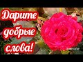 Дарите добрые слова! Добрый вечер! Музыкальная видео открытка с добрым вечером