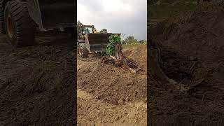 Best way for uprooting when clearing a land by a wheel loader.