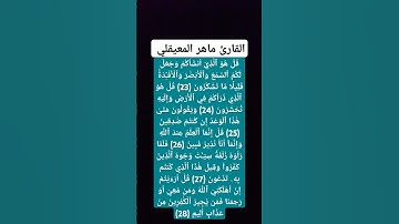 القارئ ماهر المعيقلي القرآن الكريم راحة نفسية ر #القرآن_الكريم #quran #راحة_نفسية #ماهر_المعيقلي