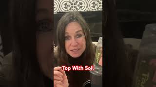 FREE 👍Tomato Plants From Grocery Store Tomatoes 🍅// Campbell’s Freedom Farm