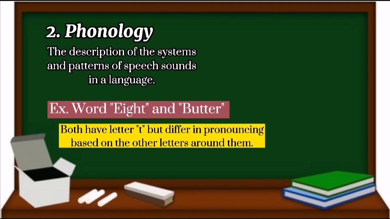 Defining and giving of examples phonology, morphology