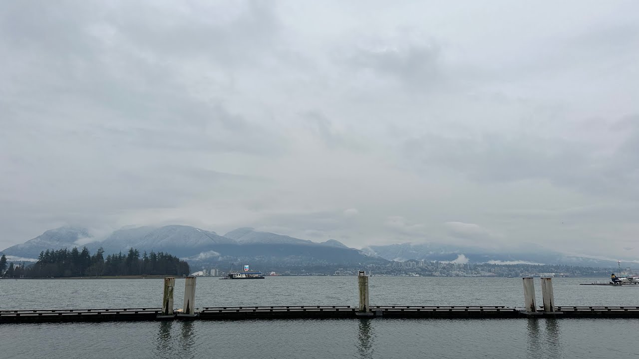 video diary vol. 1 - a slow silver day in the Pacific Northwest