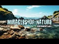 The wonderful world of natural phenomena! Miracles of Nature - movie in English! Documentary