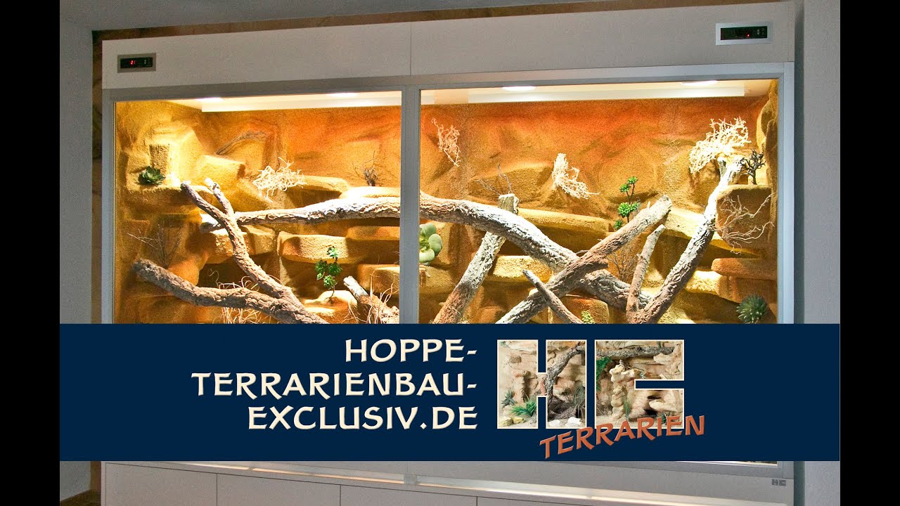 Megagroßes Steppenterrarium für Bartagamen