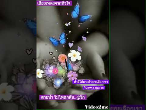 "ทำดีให้ตายอ้ายกะเลือกเขา" - จินตหรา พูนลาภ