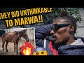 STORM: @iammarwa  HORSES AGAIN 🥹 THEY DID UNTHINKABLE!! -SO BAD! PERSON BEHIND!