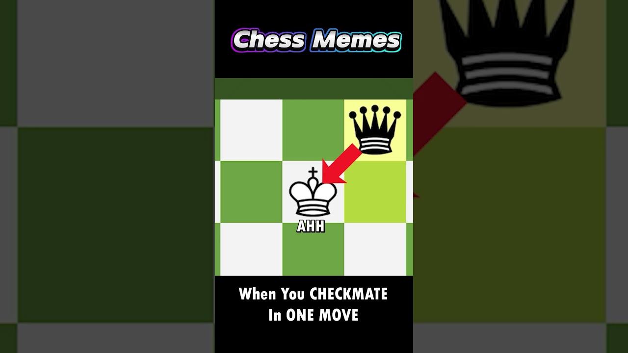 Did the White King Get Checked by a Pawn? | Chess Memes