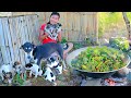 survival in forest - Women Cooking Frog with Big red pepper chili for dog