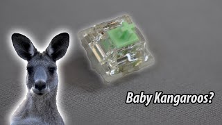 Gateron Baby Kangaroo - My Favorite Switch to Date!