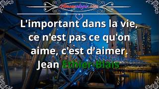Amourologie humour