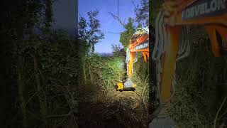 Dx27 Tree Shear