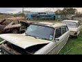 Abandoned old cars found