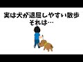 散歩してるのに、犬が満足しない理由