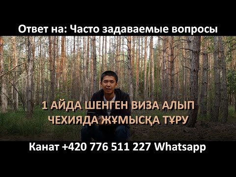 Бейне: Чехияда қалай жұмыс табуға болады