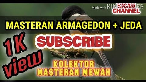 MASTERAN MEWAH CENDET MODERN + JEDA [ ARMAGEDON™] || masteran kekinian cendet jawara