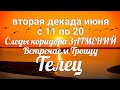 ♉ТЕЛЕЦ с 11 по 20 июня 2021/Таро-прогноз/Таро-Гороскоп Телец/Taro_Horoscope Tauro.