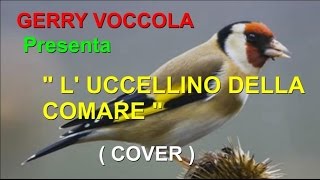 L' UCCELLINO DELLA COMARE Cover Gerry ( Tony Di Marti) chords