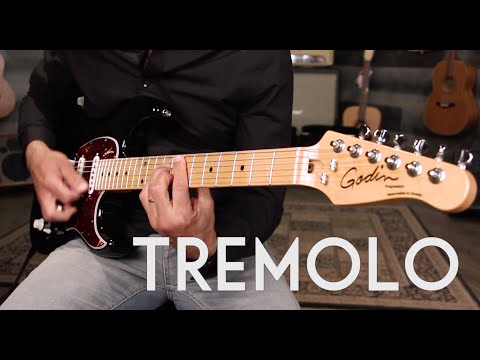 godin-progression-plus-"tru-loc-tremolo-arm"