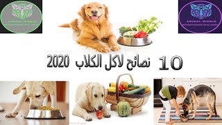 10 نصائح لاكل الكلاب 2020 (الحلقة الخامسة من تغذية الكلاب ) DOG NUTRITION