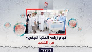 نجاح زراعة الخلايا الجذعية في الخليج