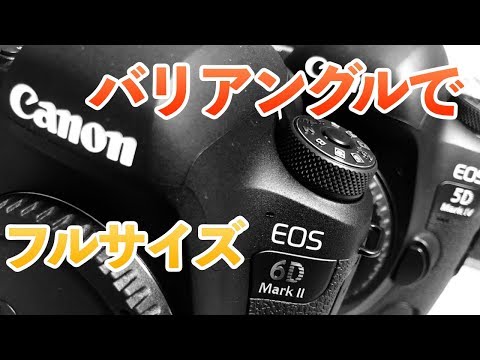 フルサイズの入門機☆Canon 5D markⅡ☆あらゆるシーンに対応！ フルサイズの入門機☆Canon 5D markⅡ☆あらゆるシーンに対応！