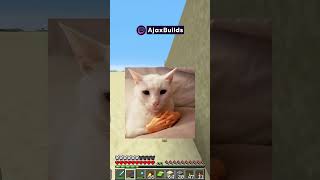 Y si no es simétrico?💀 #minecraft  #shorts