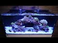 Aquarium marine x waterbox