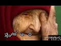 Mimti Rahat ЁЯШнЁЯШн Mimti Rahat ЁЯШнЁЯШн