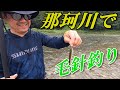 那珂川で毛針釣り