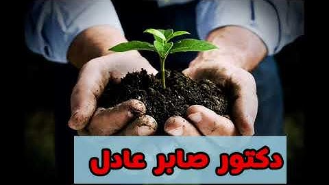 اروع التلاوات د صابر عادل