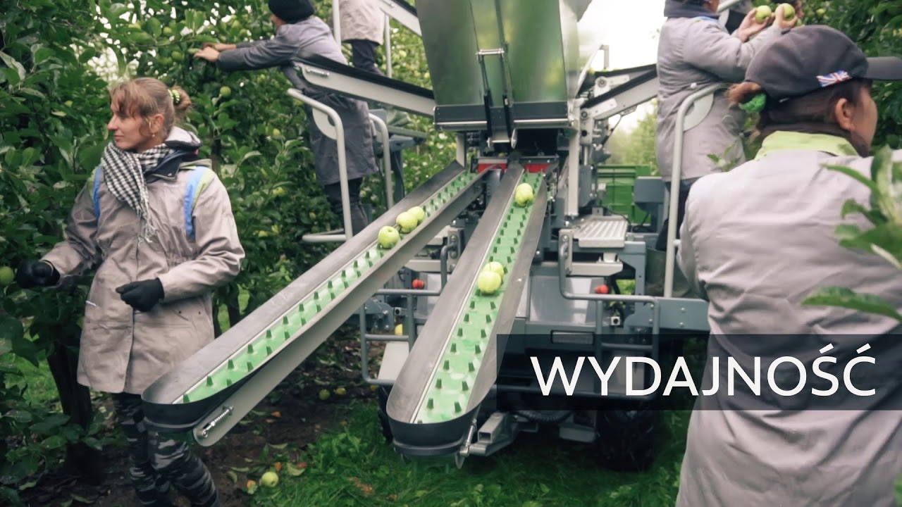 Kombajn do zbioru jabłek Grunner APLIDER