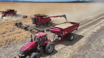 Fitz Farming 2025 year in review