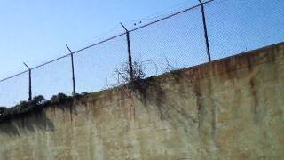 Alcatraz Exercise Yard