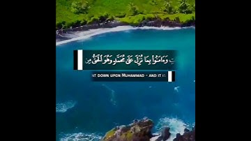 آيات تحث على التأمل والتفكر من القرآن الكريم 🌹 سعيد الخطيب حالات واتس اب دينية قصيرة مؤثرة تلاوة