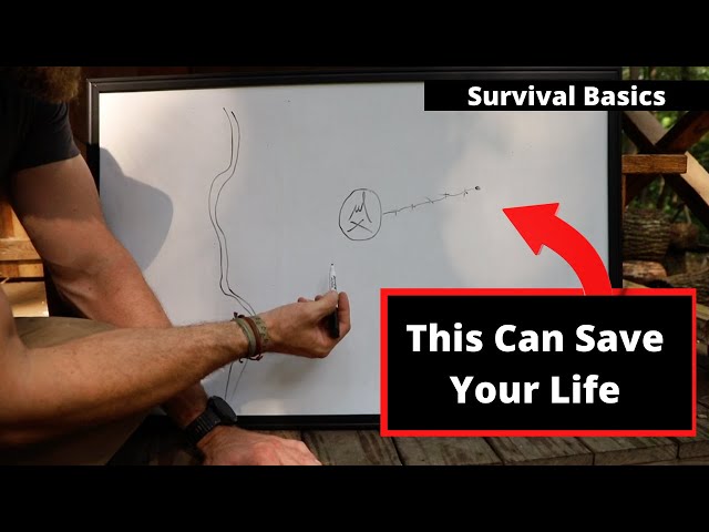 These Basic Survival Skills Could Save Your Life in the Wilderness