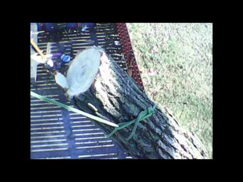 Epic Rope Fail, Epic Tree Time