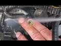 Middle of video