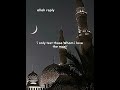 𝕀 𝕒𝕤𝕜𝕖𝕕  𝐨 𝐀𝐥𝐥𝐚𝐡 𝐰𝐡𝐲 𝐚𝐥𝐰𝐚𝐲𝐬 𝐦𝐞🥺 #ytshorts #allah #always #recommended #islamicshorts #sarahkhan
