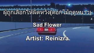 Download Lagu ผู้ถูกเลือกให้ผิดหวัง 【Pu Took Lerk Hai Pid Wang】Sad flower - เรนิษรา [English Lyrics] MP3