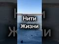 «Нити Жизни» #клип #мелодиипесни #ии #музыка #музыкаонлайн #music #рок #природа #река