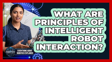 What Are Principles Of Intelligent Robot Interaction?