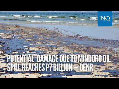 Potential environmental damage due to Mindoro oil spill reaches P7 billion — DENR | #INQToday