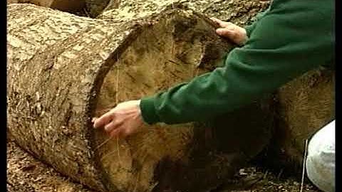 How to Build Green Timber Buildings, Historic Timber Frame Houses